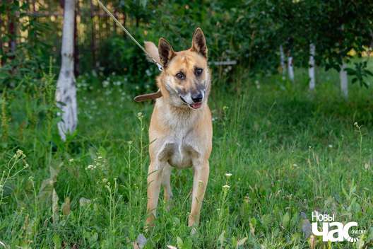 9/10 imgl3558_logo.jpg