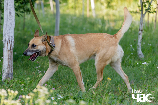 7/10 imgl3564_logo.jpg