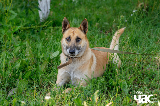 8/10 imgl3569_logo.jpg