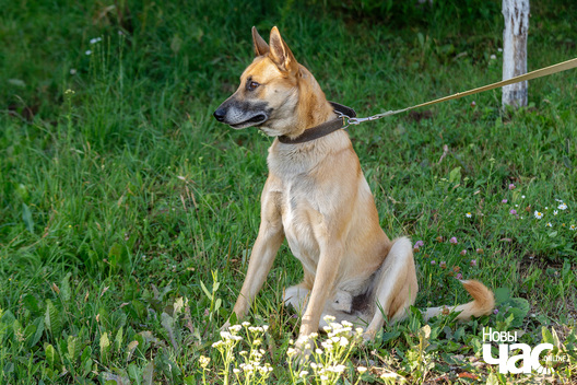 6/10 imgl3571_logo.jpg