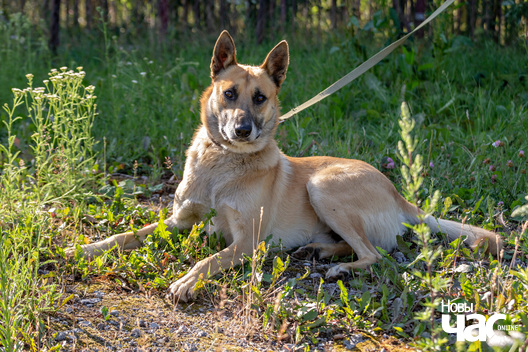 5/10 imgl3577_logo.jpg