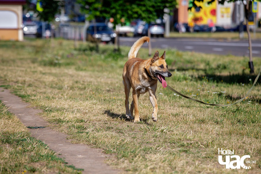 2/10 imgl3587_logo.jpg