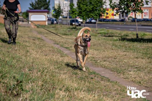 3/10 imgl3600_logo.jpg