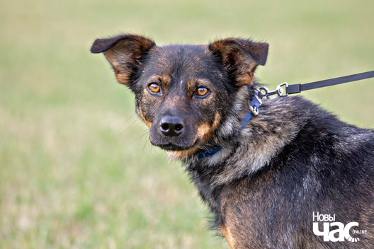 2/8 imgl3711_logo.jpg