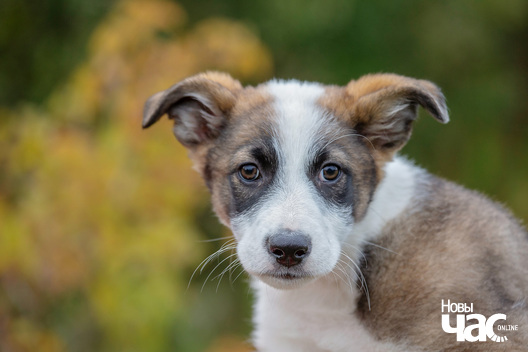 1/9 imgl3746_logo.jpg