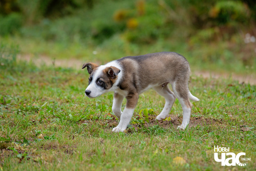 5/9 imgl3748_logo.jpg