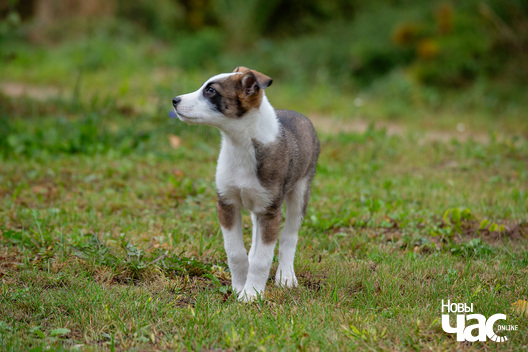 7/9 imgl3749_logo.jpg