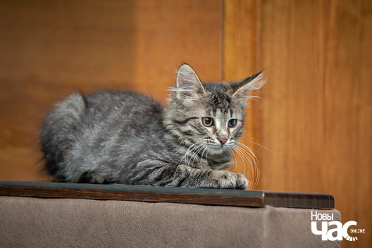 2/4 imgl3938_logo.jpg