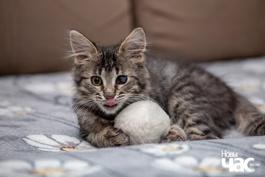 1/4 imgl3943_logo.jpg