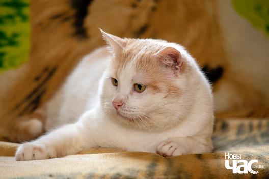 1/5 imgl5792_logo.jpg