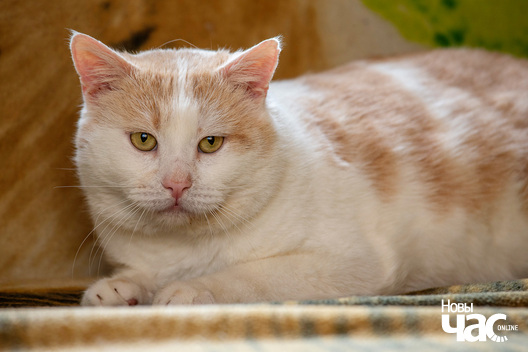 2/5 imgl5807_logo.jpg