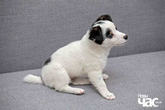 6/10 imgl6488_logo.jpg