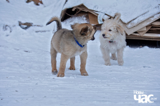 imgl8523_logo.jpg imgl8523_logo.jpg