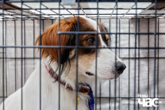 11/30 imgl9367_logo.jpg