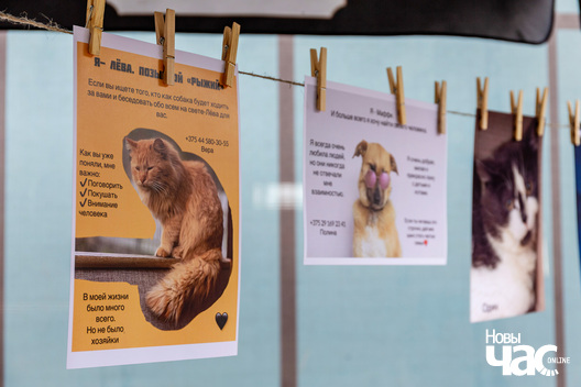 5/30 imgl9369_logo.jpg