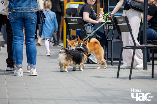 14/30 imgl9380_logo.jpg