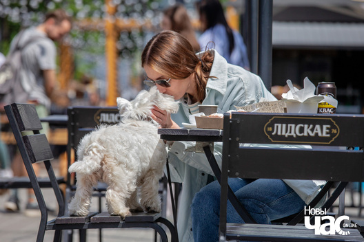 13/30 imgl9383_logo.jpg