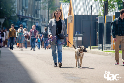 15/30 imgl9384_logo.jpg