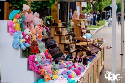 17/30 imgl9392_logo.jpg