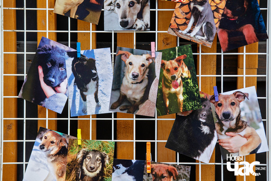 22/30 imgl9402_logo.jpg