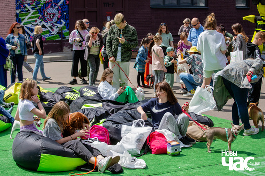 26/30 imgl9410_logo.jpg