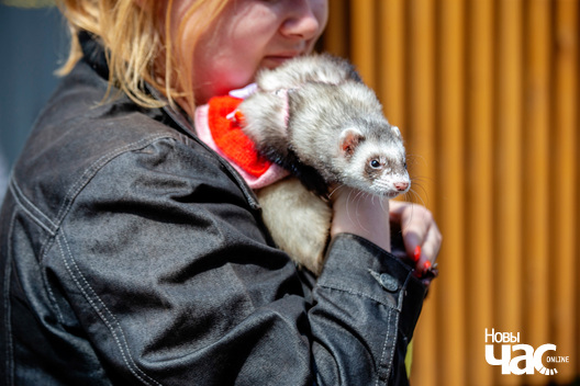 10/30 imgl9420_logo.jpg