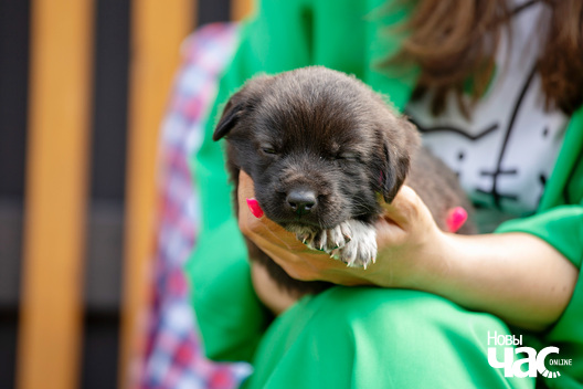 2/30 imgl9422_logo.jpg