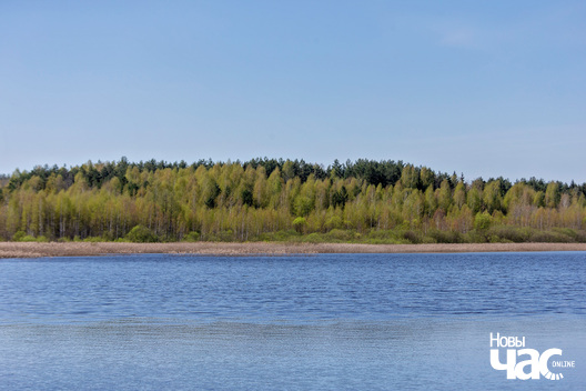 imgl9771_logo.jpg imgl9771_logo.jpg