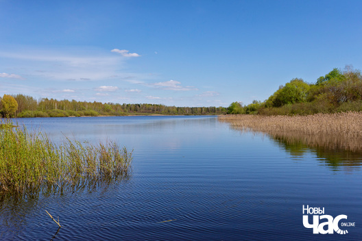 imgl9780_logo.jpg imgl9780_logo.jpg