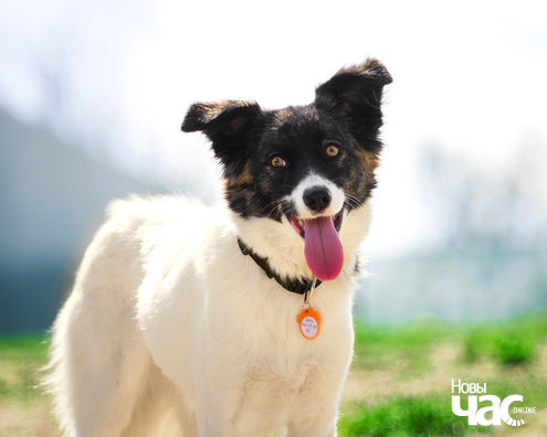 imgp0936_5_1_logo.jpg imgp0936_5_1_logo.jpg