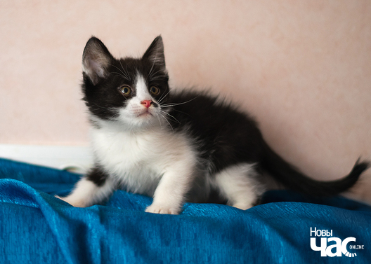 imgp6012_33_1_logo.jpg imgp6012_33_1_logo.jpg