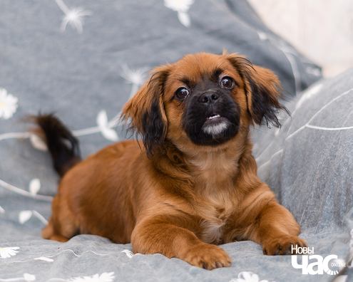 2/3 imgp6636_5_1_logo.jpg