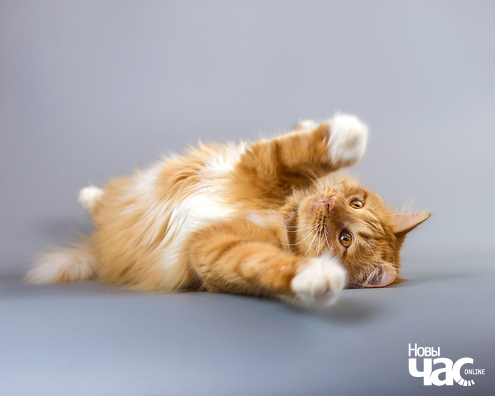 imgp8188_15_1_logo.jpg imgp8188_15_1_logo.jpg