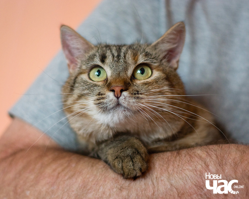 imgp9017_10_1_logo.jpg imgp9017_10_1_logo.jpg