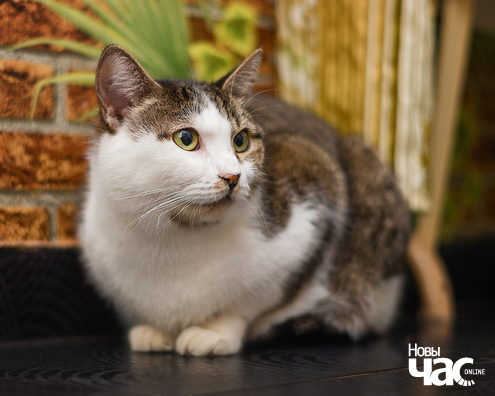 imgp9063_20_1_logo.jpg imgp9063_20_1_logo.jpg