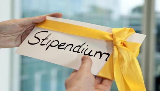 socnews.by socnews.by