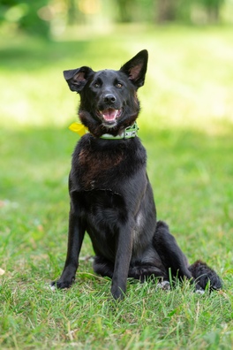 2/3 inenw_5bhby_logo.jpg