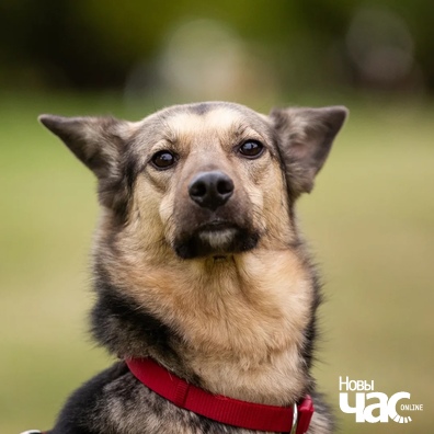 iwngh8vv87i_logo.jpg iwngh8vv87i_logo.jpg