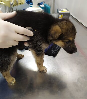 izobrazenie_viber_2019_12_19_11_36_53.jpg izobrazenie_viber_2019_12_19_11_36_53.jpg