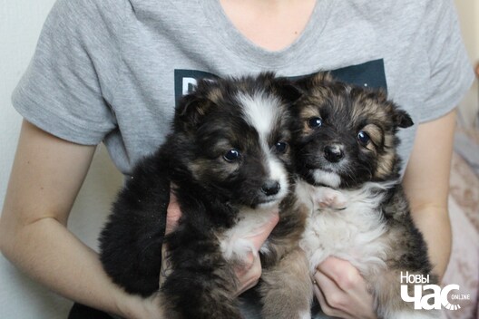 izobrazenie_viber_2020_04_19_15_05_59_logo.jpg izobrazenie_viber_2020_04_19_15_05_59_logo.jpg