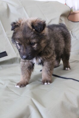 7/8 izobrazenie_viber_2020_04_19_16_10_42_logo.jpg