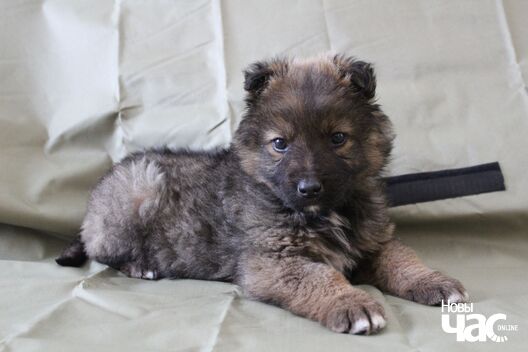 3/8 izobrazenie_viber_2020_04_19_16_10_46_logo.jpg