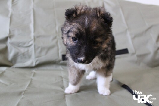 6/8 izobrazenie_viber_2020_04_19_16_10_55_logo.jpg