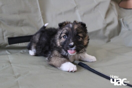 1/8 izobrazenie_viber_2020_04_19_16_11_00_logo.jpg