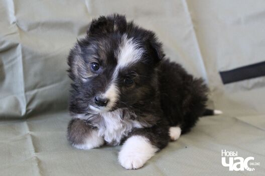 4/8 izobrazenie_viber_2020_04_19_16_11_17_logo.jpg