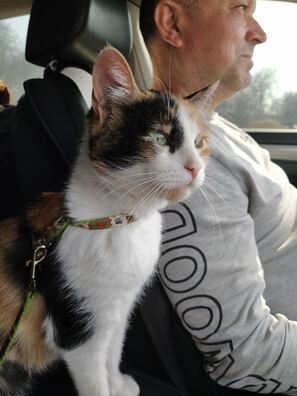 izobrazenie_viber_2023_03_29_16_10_26_357.jpg izobrazenie_viber_2023_03_29_16_10_26_357.jpg