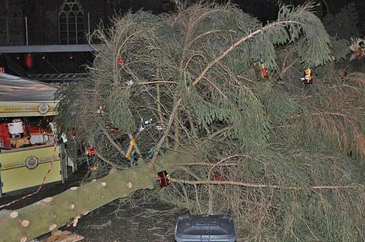 2/3 jalinka_1112_3.jpg