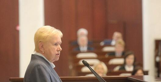 Лідзія Ярмошына ў Палаце прадстаўнікоў / БЕЛТА Лідзія Ярмошына ў Палаце прадстаўнікоў / БЕЛТА