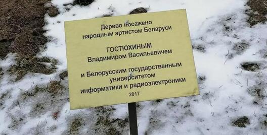 jelka_3003.jpg jelka_3003.jpg