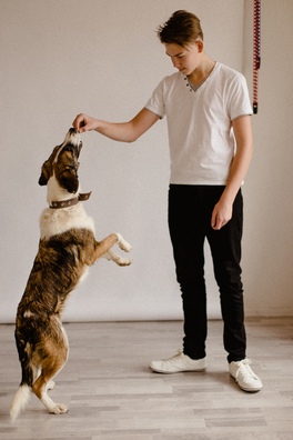 jeuofngfpmu_logo.jpg jeuofngfpmu_logo.jpg